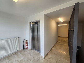 exteriér - chodba s výtahem - Prodej bytu 1+1 v osobním vlastnictví 55 m², Praha 9 - Vysočany