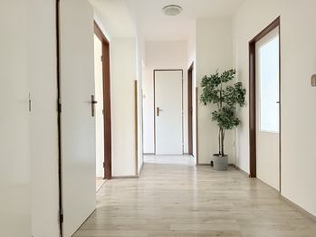 Prodej bytu 3+1 v osobním vlastnictví 72 m², Dolní Věstonice