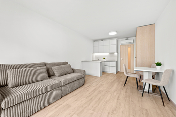 Pronájem bytu 1+kk v osobním vlastnictví 36 m², Praha 3 - Žižkov