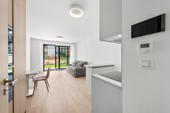 Pronájem bytu 1+kk v osobním vlastnictví 36 m², Praha 3 - Žižkov