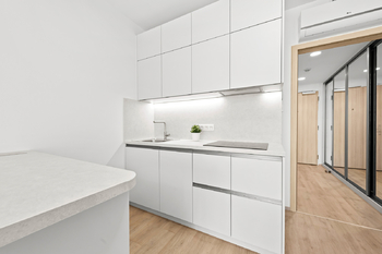 Pronájem bytu 1+kk v osobním vlastnictví 36 m², Praha 3 - Žižkov