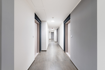 Pronájem bytu 1+kk v osobním vlastnictví 36 m², Praha 3 - Žižkov