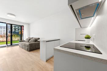 Pronájem bytu 1+kk v osobním vlastnictví 36 m², Praha 3 - Žižkov