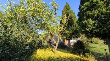 Prodej domu 150 m², Podbořany