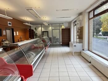Pronájem bytu 4+kk v osobním vlastnictví 146 m², Komárov