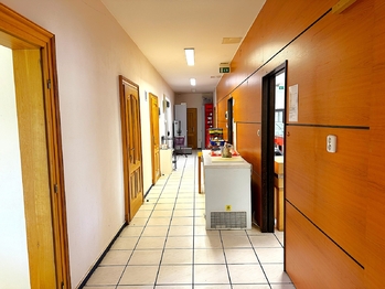 Pronájem obchodních prostor 145 m², Komárov