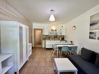 obývací pokoj + kuchyňský kout - Prodej bytu 2+kk v osobním vlastnictví 41 m², Černý Důl