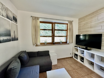obývací pokoj - Prodej bytu 2+kk v osobním vlastnictví 41 m², Černý Důl