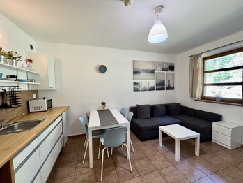 obývací pokoj - Prodej bytu 2+kk v osobním vlastnictví 41 m², Černý Důl