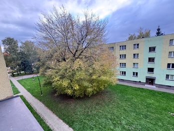 Prodej bytu 2+1 v družstevním vlastnictví 53 m², Orlová