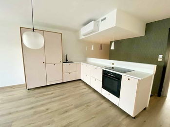 Pronájem bytu 3+kk v osobním vlastnictví 76 m², Brno