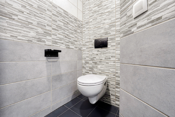 Prodej bytu 1+1 v osobním vlastnictví 57 m², Chodová Planá