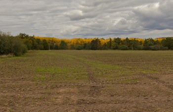 Prodej pozemku 3200 m², Slaný