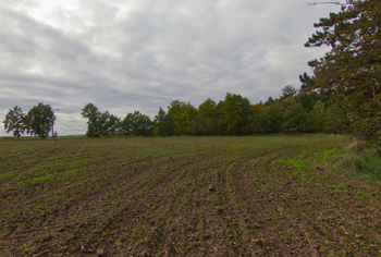 Prodej pozemku 3200 m², Slaný