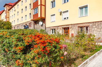 Prodej bytu 1+1 v družstevním vlastnictví 43 m², Meziboří