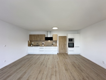 Pronájem bytu 1+kk v osobním vlastnictví 59 m², České Budějovice