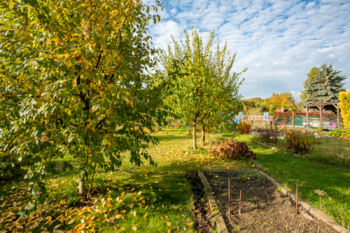 Prodej pozemku 344 m², Litvínov