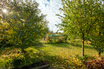 Prodej pozemku 344 m², Litvínov