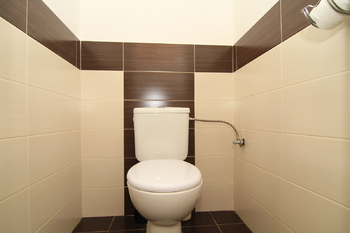 toaleta v přízemí - Pronájem domu 150 m², Karlovy Vary