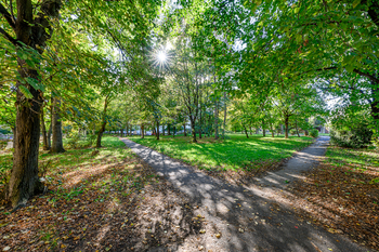Park u domu - Pronájem bytu 3+1 v osobním vlastnictví 69 m², Praha 4 - Krč