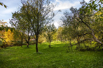 Prodej pozemku 1795 m², Zubří