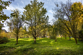 Prodej pozemku 1795 m², Zubří