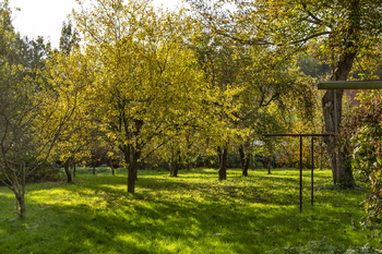 Prodej pozemku 1795 m², Zubří