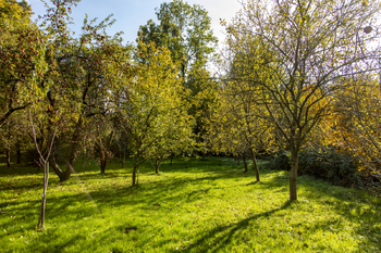 Prodej pozemku 1795 m², Zubří