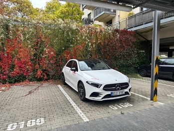 PARKOVACÍ STÁNÍ - POD HARFOU - Pronájem garáže, Praha 9 - Vysočany