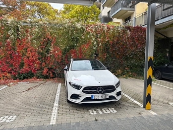 PARKOVACÍ STÁNÍ - POD HARFOU - Pronájem garáže, Praha 9 - Vysočany 