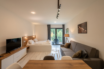 Prodej bytu 1+kk v osobním vlastnictví 40 m², Velké Karlovice