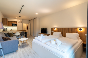 Prodej bytu 1+kk v osobním vlastnictví 40 m², Velké Karlovice