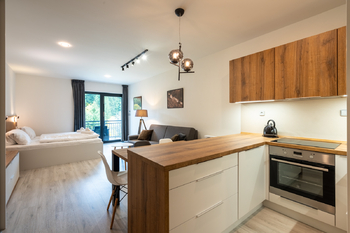 Prodej bytu 1+kk v osobním vlastnictví 40 m², Velké Karlovice