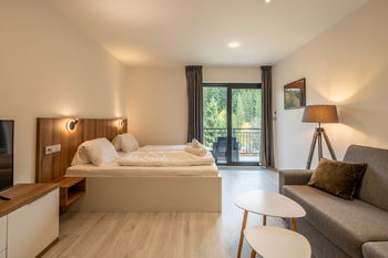 Prodej bytu 1+kk v osobním vlastnictví 40 m², Velké Karlovice
