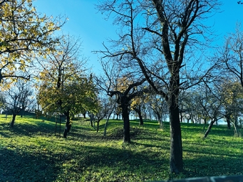 Prodej domu 112 m², Zdounky