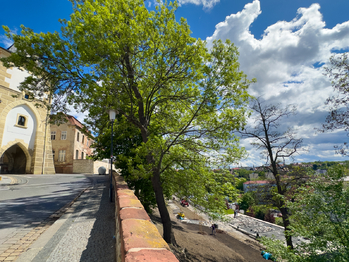 Prodej domu 354 m², Žatec