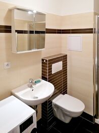 Pronájem bytu 2+kk v osobním vlastnictví 35 m², České Budějovice