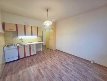 obývací pokoj s kuch.linkou - Pronájem bytu 2+kk v osobním vlastnictví 37 m², České Budějovice