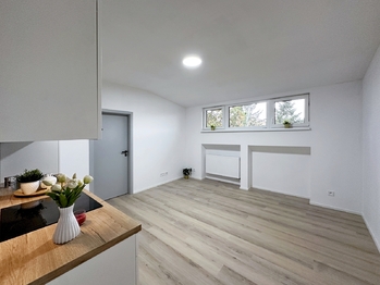 Pronájem bytu 2+kk v osobním vlastnictví 83 m², České Budějovice