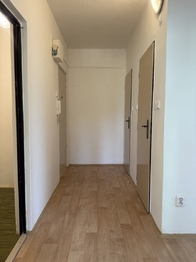 původní stav - Prodej bytu 2+1 v osobním vlastnictví 59 m², Pohořelice