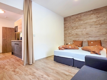 Prodej bytu 1+1 v osobním vlastnictví 31 m², Loučná pod Klínovcem