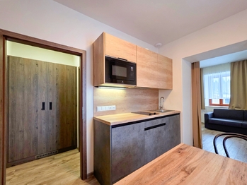 Prodej bytu 1+1 v osobním vlastnictví 31 m², Loučná pod Klínovcem