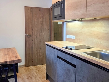 Prodej bytu 1+1 v osobním vlastnictví 31 m², Loučná pod Klínovcem