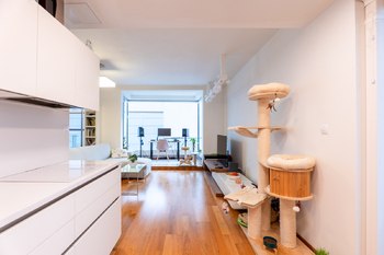 Pronájem bytu 2+kk v osobním vlastnictví 68 m², Praha 7 - Holešovice