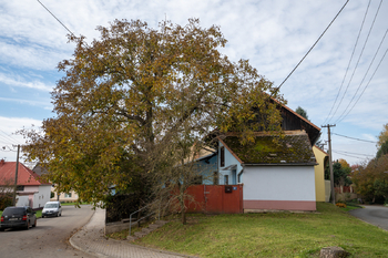Prodej domu 105 m², Lechotice