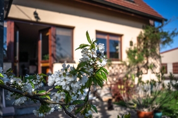 Prodej domu 120 m², Klecany