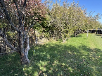 Prodej domu 65 m², Myslibořice