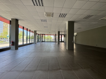 Pronájem obchodních prostor 221 m², Hradec Králové
