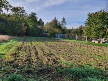 Prodej domu 319 m², Moravský Krumlov