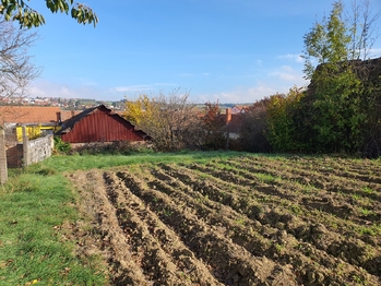 Prodej domu 319 m², Moravský Krumlov